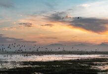 Дощ затопив мегааеропорт у Мексиці