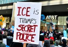 Роль Большой Технологии в Обеспечении Иммиграционного Контроля в США