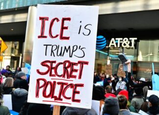 Роль Большой Технологии в Обеспечении Иммиграционного Контроля в США