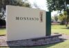 Історія Monsanto: від сакхарину до поглинання Bayer