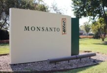 Історія Monsanto: від сакхарину до поглинання Bayer